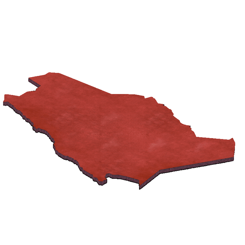 Oil and Gas Services Saudi Arabia